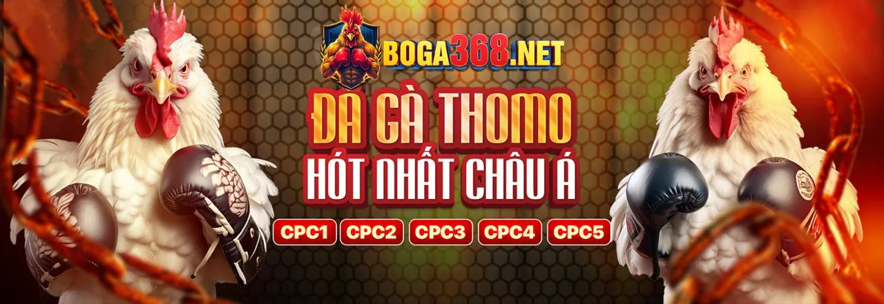 Đá Gà Trực Tuyến f168vip Chính Thức 2026